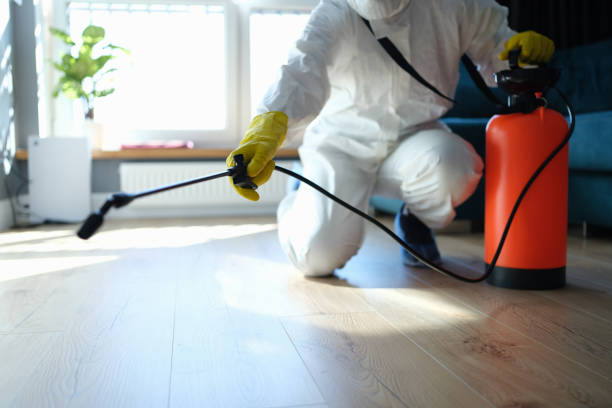 Reliable Infectious Disease Decontamination contractor in Morton, TX by Trauma Clean Pros